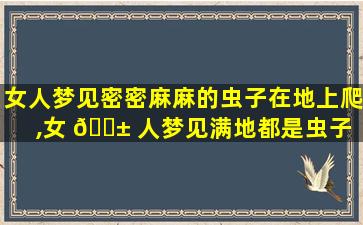 女人梦见密密麻麻的虫子在地上爬,女 🐱 人梦见满地都是虫子 🌺 ,还踩在虫子上走路